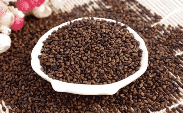 決明子怎么搭配泡茶喝？決明子可以和什么一起泡茶？(1)