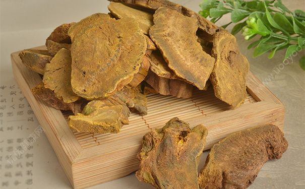 大黃有什么功效與作用？大黃的功效與作用及禁忌(1)