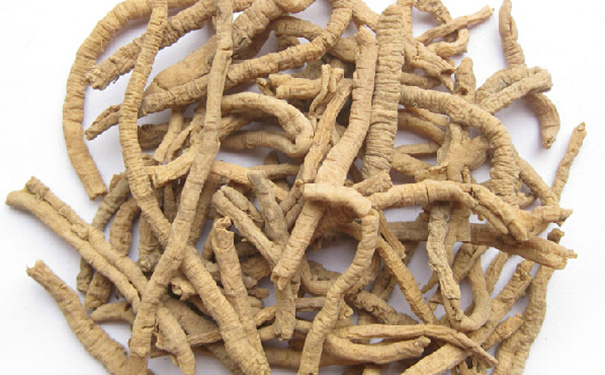 伸筋草泡腳有什么好處？伸筋草泡腳的功效有哪些？(1)