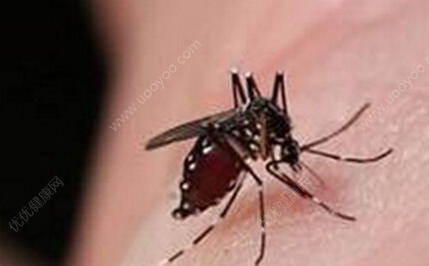 夏天怎么預(yù)防蚊子叮咬？夏天預(yù)防蚊子叮咬有哪些妙招？(1)