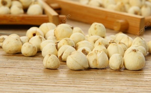 川貝母粉怎么吃？川貝母粉的功效與作用(1)