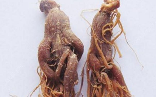 紅參有什么功效？紅參有什么作用？(1)