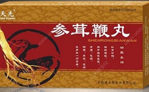 參茸鞭丸效果怎么樣？參茸鞭丸是什么藥？(1)