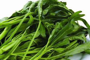 家里養(yǎng)盆“空心菜”，營養(yǎng)豐富好處多，關鍵是好養(yǎng)