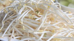 給豆子灑點(diǎn)水，3天就長成豆芽，炒菜好滋味！