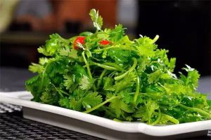 空油桶剪2刀，隨手撒點(diǎn)菜根菜頭，過(guò)年都不用買菜了！