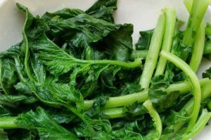 奶奶太“摳門”，省下錢在陽臺(tái)種菜，1個(gè)月就長(zhǎng)滿陽臺(tái)！