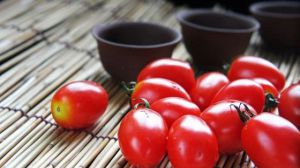 陽(yáng)臺(tái)種植圣女果的方法 種植前要對(duì)種子進(jìn)行浸泡、消毒