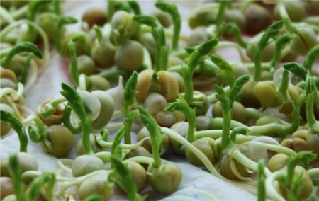 養(yǎng)護(hù)