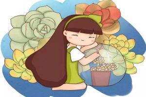 他把多肉丟水里，竟然砰砰爆盆，比露養(yǎng)的還厲害！