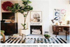 琴葉榕可以水培嗎，這樣養(yǎng)觀賞效果更佳！