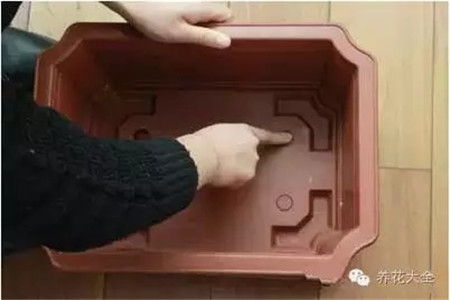將盆底的四個(gè)排水小孔打開。