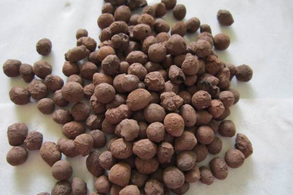 水培花卉的常用栽培顆?；|(zhì)