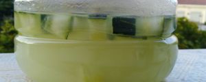 什么植物不能澆淘米水，可以澆建蘭嗎