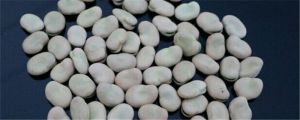 茴香豆是什么豆，茴香豆的營(yíng)養(yǎng)價(jià)值