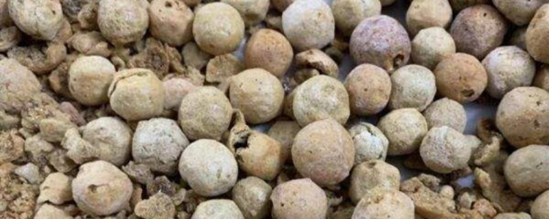 半夏多少錢一斤，半夏價(jià)格