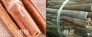 肉桂與桂皮的區(qū)別，桂皮圖片