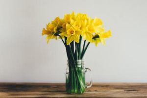 養(yǎng)花別養(yǎng)這“3種”，葉子有毒，皮膚碰到就腫