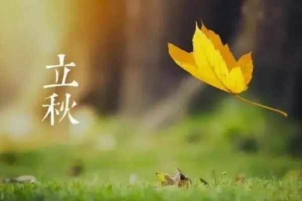 立秋后就喝這3湯，去濕氣補(bǔ)血?dú)?，一覺(jué)睡到大天亮！