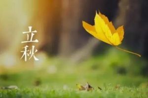立秋后就喝這3湯，去濕氣補血氣，一覺睡到大天亮！
