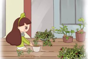 這2盆花放一起，比1臺(tái)空氣凈化器還牛，不養(yǎng)幾盆虧大了！