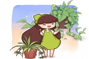 揪一把薄荷，放油鍋炒雞蛋，滿鼻噴香！