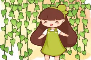 這花就是“活空調(diào)”，除塵防噪又降溫，滿墻瘋長(zhǎng)攔不住！
