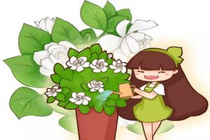 梔子3個月變老樁，根壯葉綠花滿枝，給多少錢都不賣！