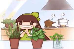 這8種花，夏天泡水喝，連藥錢都省了！