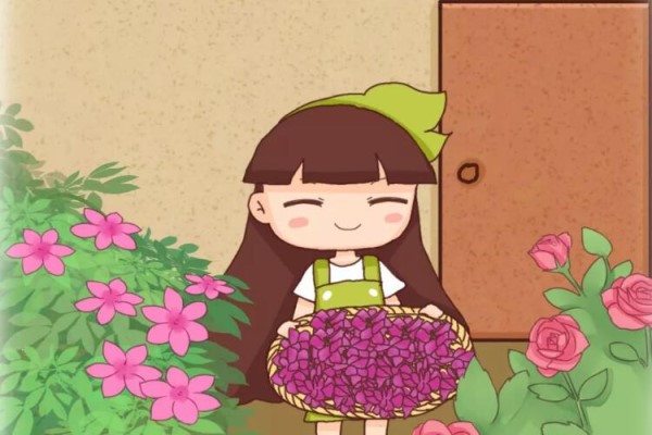 花瓣落了趕緊撿！加點(diǎn)料兌水一澆，年年開(kāi)不停！