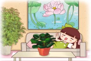 茶幾書桌放盆它，吸甲醛凈空氣，緩解眼疲勞！