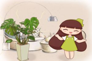家里1盆花，吸走致命毒，再也不怕裝修甲醛！