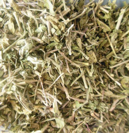美麗的透骨草