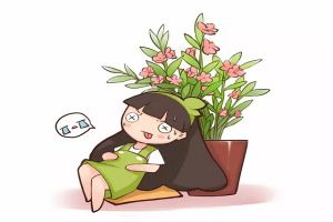 這些花老年人不要養(yǎng)，家里有一棵就很危險！
