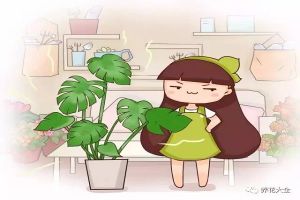 這6種花最“吸毒”，養(yǎng)一盆讓你更健康！