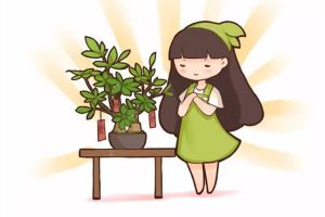 30種植物的風(fēng)水意義，養(yǎng)花人必看