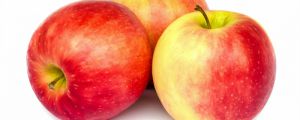 蘋果苗品種介紹（紅肉蘋果苗、紅心蘋果苗）