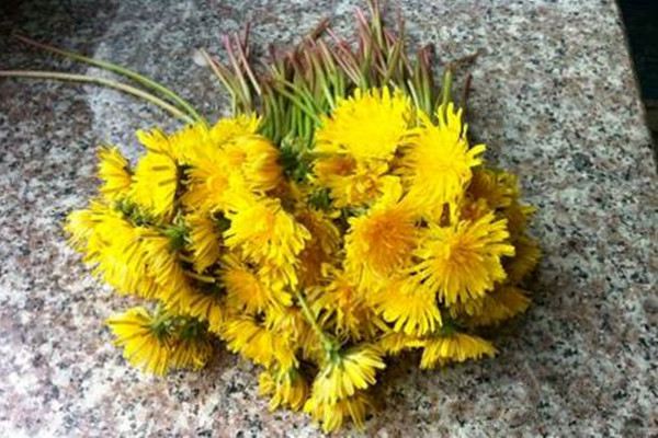 這些花還能當(dāng)藥用，小病小災(zāi)全走光！