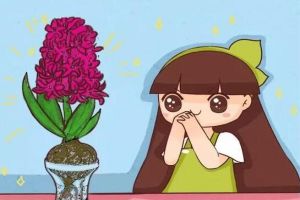 這6種花，花期超級(jí)長(zhǎng)，養(yǎng)1盆365天能開花！