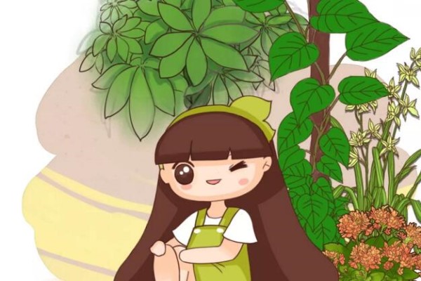 你養(yǎng)的綠蘿蟹爪蘭，竟然還有這種寓意……