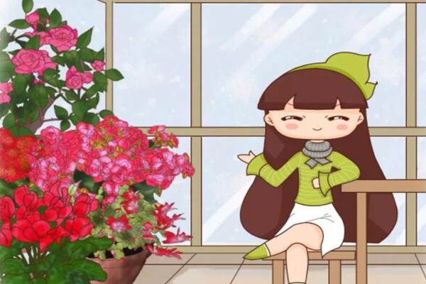 2019最火的過年花，擺家里特有面兒，你不養(yǎng)一盆？