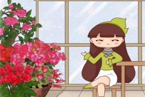 2019最火的過年花，擺家里特有面兒，你不養(yǎng)一盆？