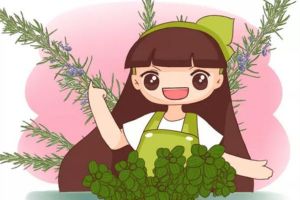 這4種花，葉子一碰一揉，香氣飄滿屋，堪比清新劑！