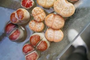 奶奶扦插不用土，丟藥片里3天就生根，速度立馬快10倍！