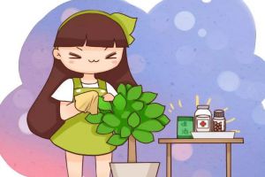 綠蘿君子蘭...擦點(diǎn)增亮劑，葉子綠得照人影，還能殺菌消毒！