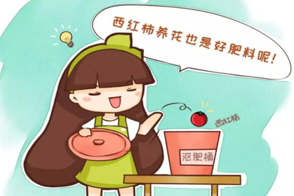 1碗蛋殼1斤西紅柿，土立馬肥得流油，花蹭蹭爆開200朵！