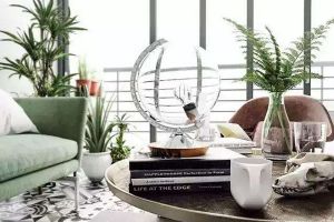臥室最適合養(yǎng)這“3種”花，除菌去螨蟲，入睡更健康！