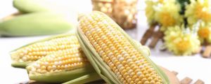 水果玉米、甜玉米是不是轉(zhuǎn)基因