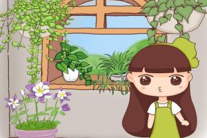 這6種花，一養(yǎng)就上癮，日子越過(guò)越美好！