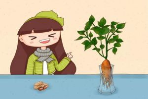 玉米棒子插水里，7天長成小盆栽，鄰居看了都驚奇！
